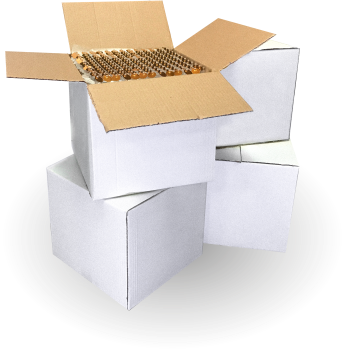 delivery anywhere in the European Union delivery anywhere in the European Union